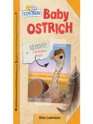 cover image of Active Minds Explorers Baby Ostrich
